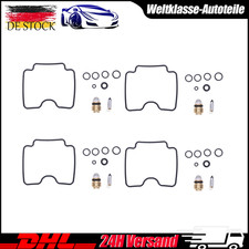Vergaser Reparatur Satz