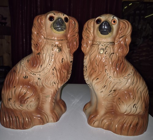 Kaminhunde,Kapitänshunde.