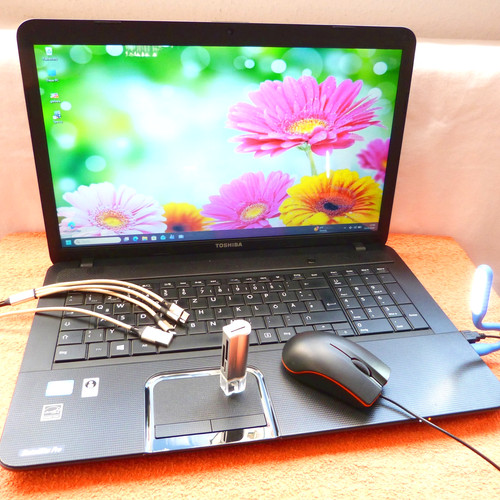 Toshiba c870 zoll - c870, 17