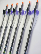Pure carbon arrows