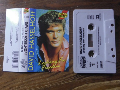 David hasselhoff looking - david,