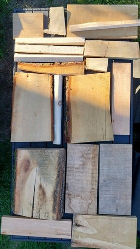 Dekoholz eiche buche - dekoholz,