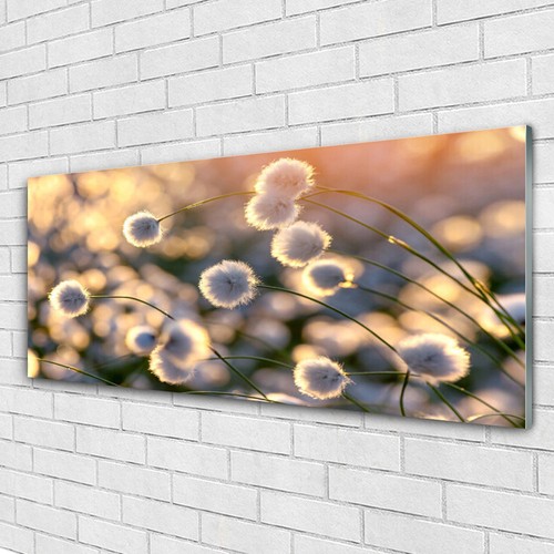 Glasbilder wandbild druck auf - glasbilder,