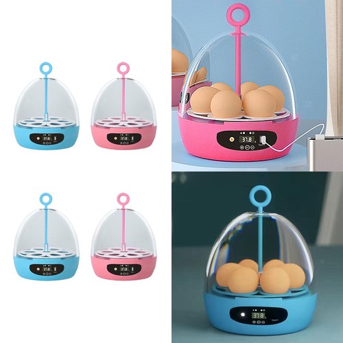 Eier inkubator chicken - 6,