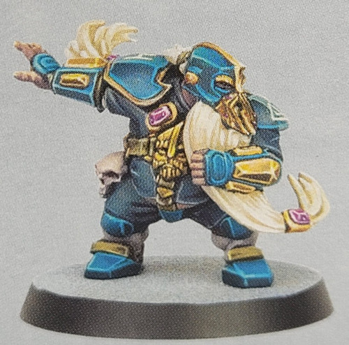 Warhammer blood bowl zwergen - bowl,