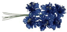 Kornblumen Bund 12cm blau