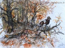 Bockjagd ,Jagdmaler, Jagd