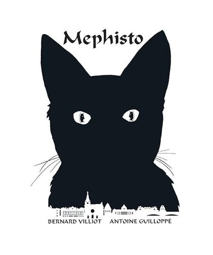 Mephisto der schwarze kater - schwarze,