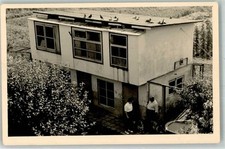 13272387 - Brieftauben Taube