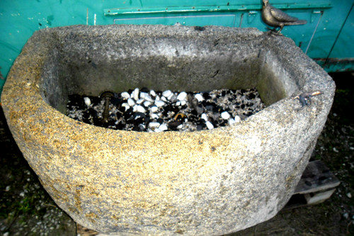 Brunnen wassergrand trog - brunnen,