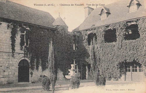 Vianne 40996 - 47,