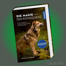 DIE MAGIE DER KONSEQUENZ |