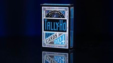 Tally-Ho 2024 (Schmetterling)