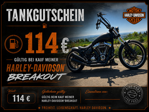 Harley davidson softail - harley,