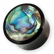 Horn Plug Flesh Tunnel Paua Abalone Muschel Perlmutt Piercing Double Flared