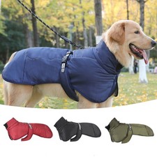 Großer Hund Outdoor Warme