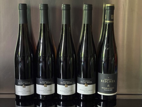 Flaschen weingut bischel - 5,