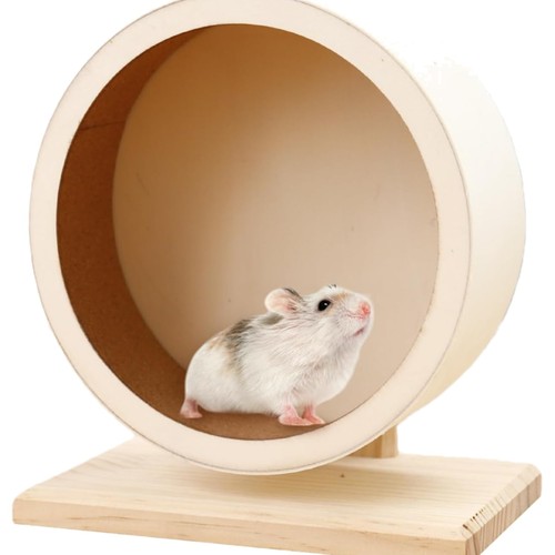 Hamsterrad holz 15cm laufrad - hamsterrad,