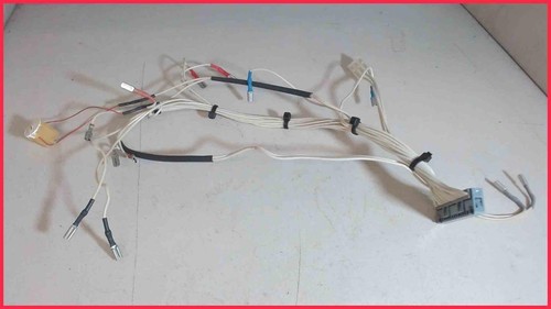 Temperatur fühler boiler - fühler,