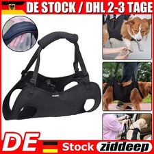 Hundetransporter älterer