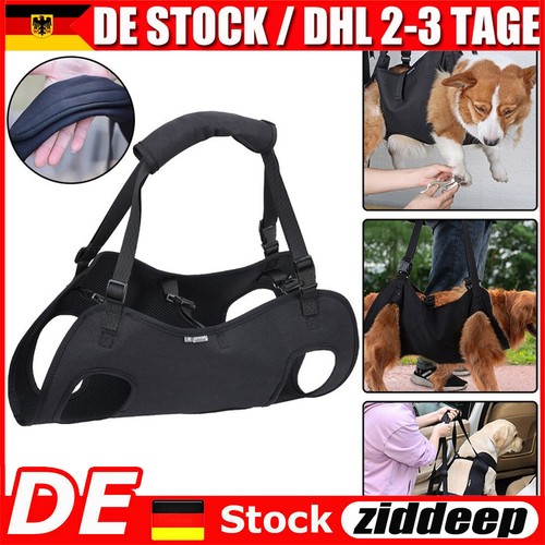 Hundetransporter älterer