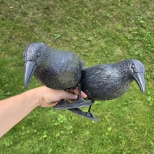Schwarz Rabe, Taubenabwehr und Taubenschreck aus Kunststoff, Vogelabwehr,