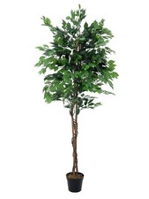 artplants Kunstpflanze Ficus