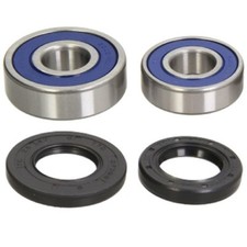 Radlager Satz hinten für