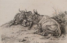 Romantik Johann Adam Klein