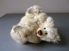 Gunnar Eisbär Teddy