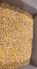 Futtermais 20 Kg - für Rehe &