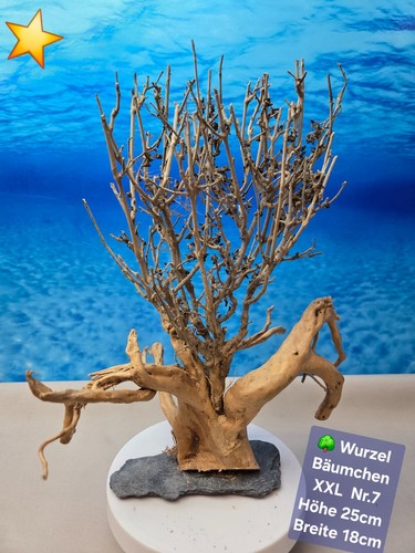 Aquarium wurzel bonsai - wurzel,