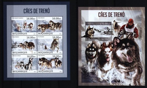 Mosambik 2013 schlittenhunde - 2013,