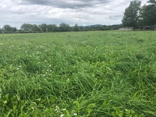 Heu Rundballen 1,2mx1,2m zweiter Schnitt, steht seit Ende Juni21 ab Wiese