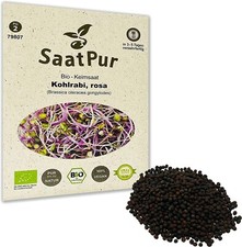 20g BIO Keimsaat für Sprossen Kohlrabi Rosa Samen Keimsprossen Microgreens Vegan
