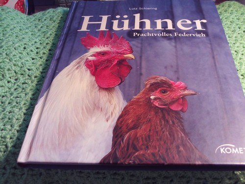 Hühner prachtvolles - hühner:,