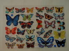 1x Poesiebilder Oblaten 7444 Schmetterlinge Glanzbilder nostalgie viele bunt