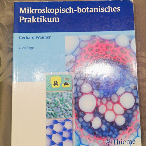 Thieme