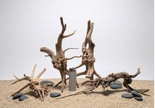 Moorwurzel Nano Set 3-5