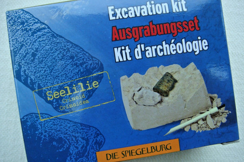 Ausgrabungsset seelilie die - ausgrabungsset, (die