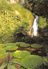 EDEN PROJEKT SEEROSENTEICH