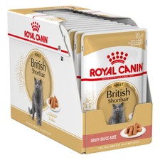 Royal Canin Britisch Kurzhaar