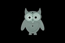 Eine Acryl Eulen Vorlage -
