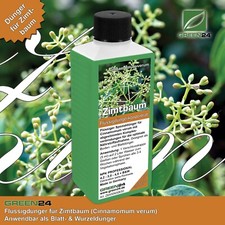 Zimtbaum dünger cinnamomum - zimtbaum-dünger,