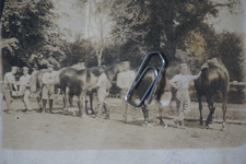 435 foto ak - d#435, foto-ak