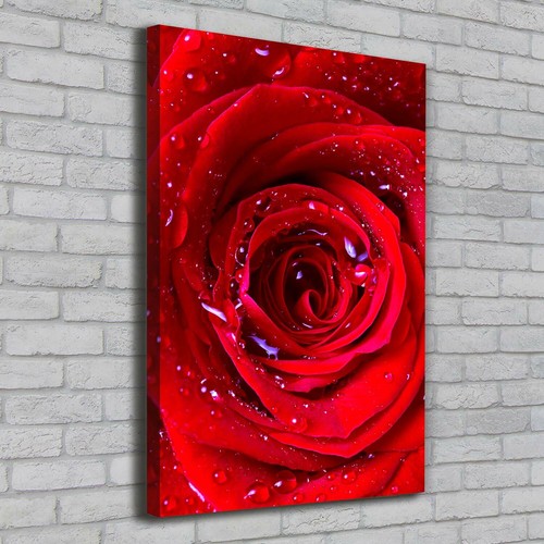 Leinwand bild kunstdruck - leinwand-bild,