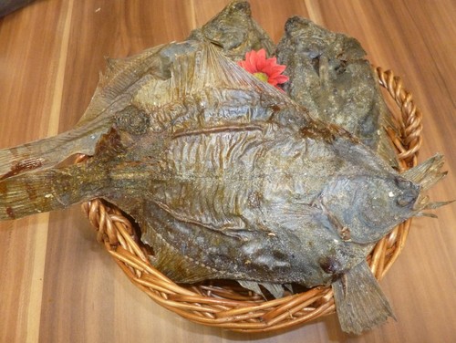 Flunder trockenfisch für - kg,