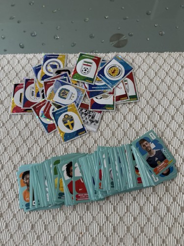 2026 panini sticker - wm,