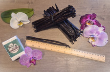 25g Vanilleschoten aus