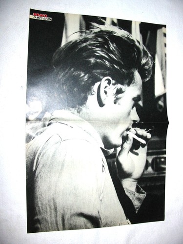 James dean nena bravo - dean,